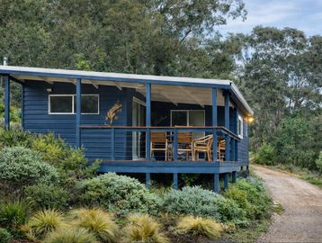 Blue cabin with wooden porch chairs near a dirt path surrounded by greenery.