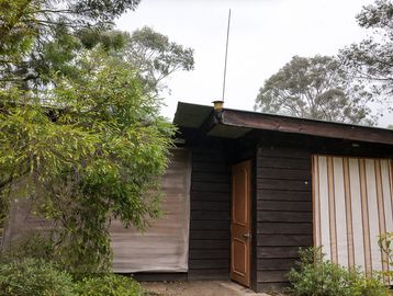 Small rustic cabin with wooden walls and fabric-covered windows surrounded by greenery.