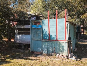 Old blue wooden shed with red trim in a forest clearing.