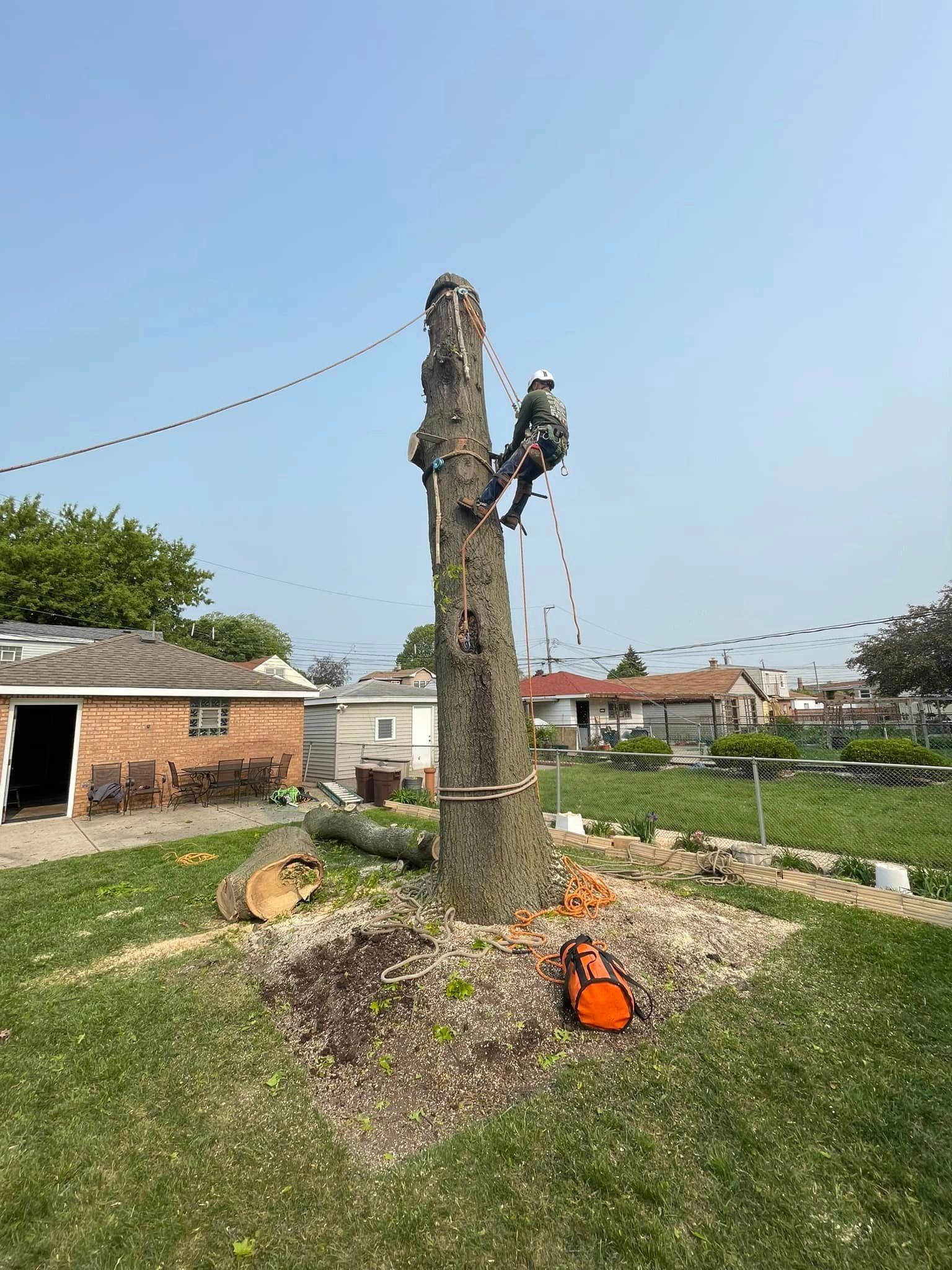 Tree Care Specialists