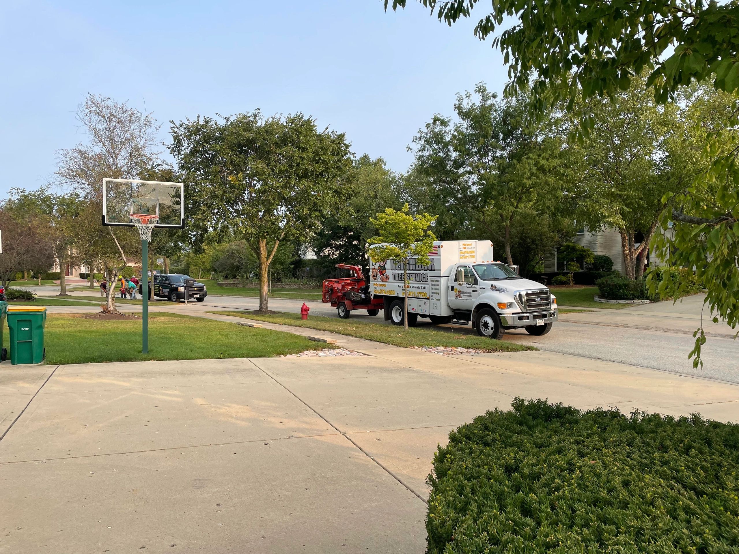 Expert Tree Removal