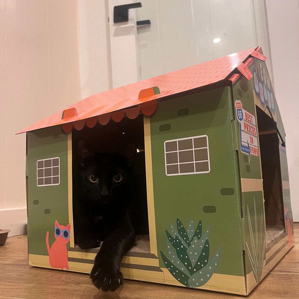 Black cat peeking out of a cardboard house.