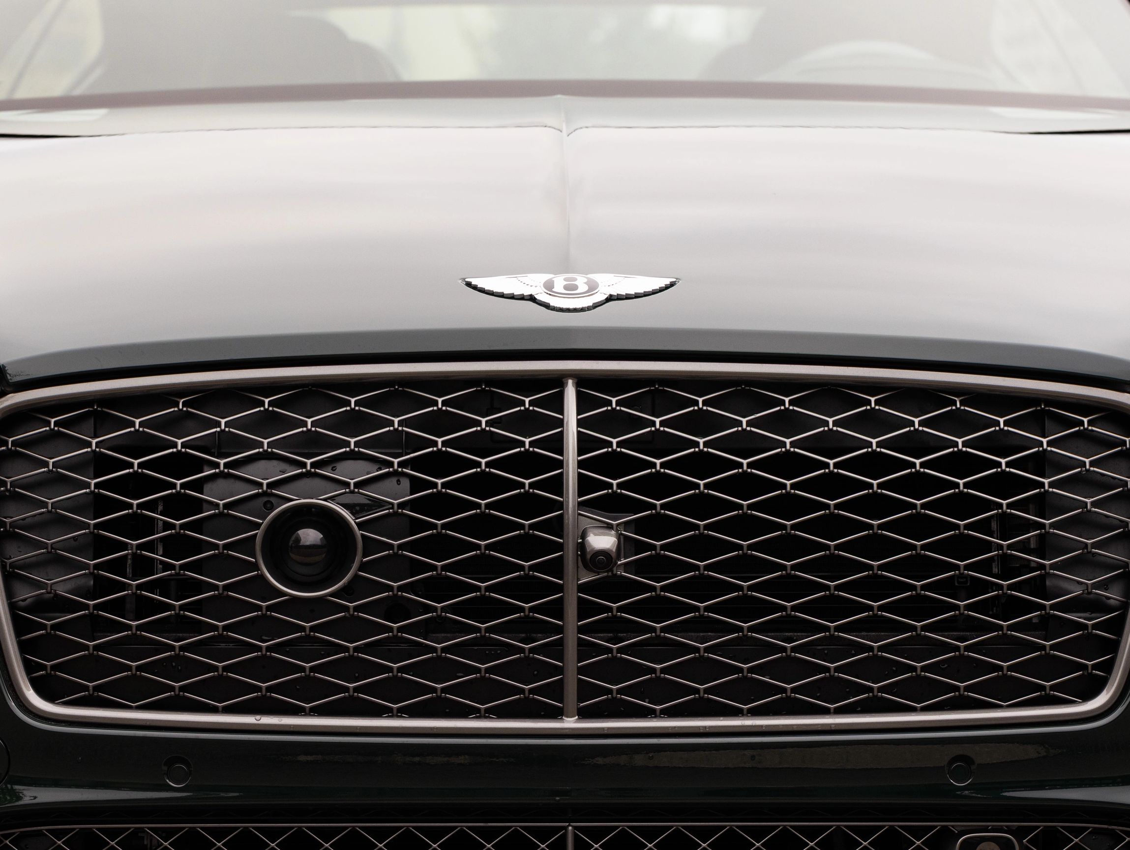 Close-up of Bentley car logo on the hood.