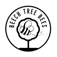 Beech tree bees