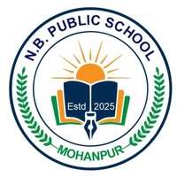 NB Public School