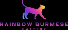 Rainbow Burmese Cattery