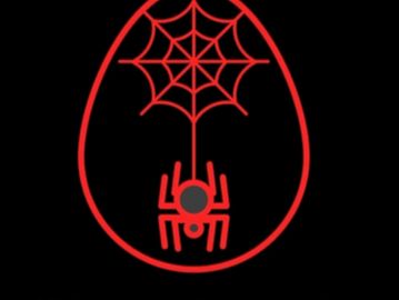 Monthly Tarantula/Spider Subscription worth two times value. First tarantula subscription service