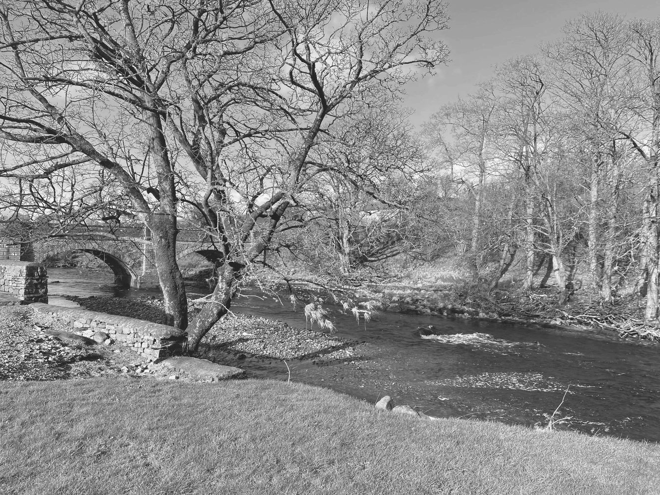 Clear river water, flowing under a bridge with a tree lined bank.