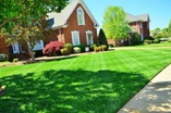 JD Lawn and Maintenance