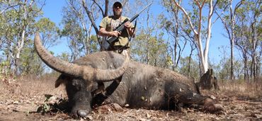 hunting water buffalo