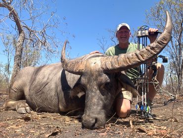 bowhunting water buffalo