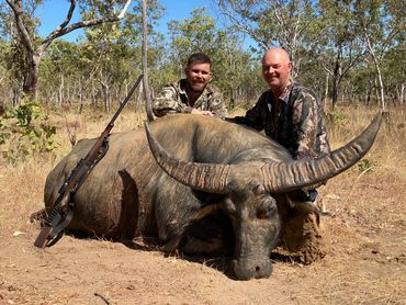 water buffalo hunting australia 