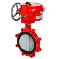 butterfly valve