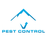 Elevate Pest Control