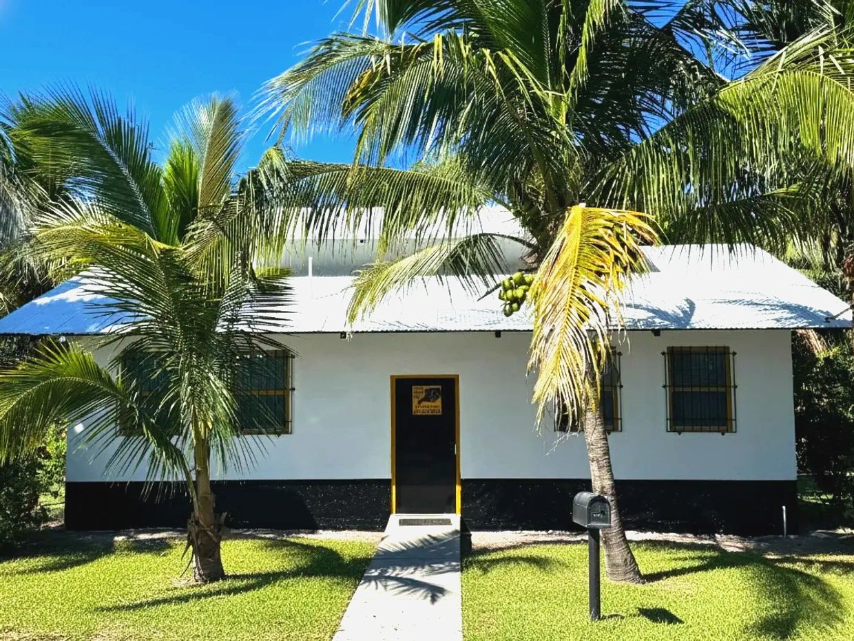 Small house with palm trees and a bright blue sky.