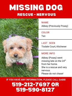 Hobo Haven Rescue