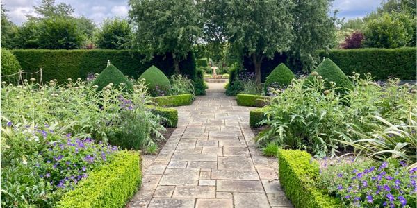 Garden maintenance. Hedges