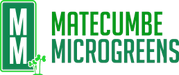 Matecumbe Greens