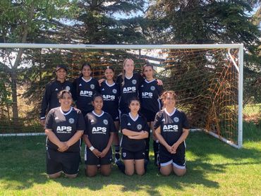 Youth soccer team posing in front of a goal on a sunny day.