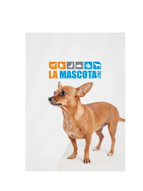 Distribuidora La Mascota 2017