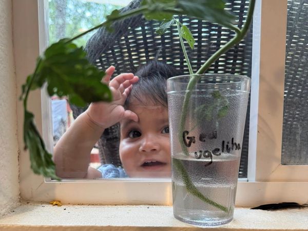 Native Child looking with a smile through the window.