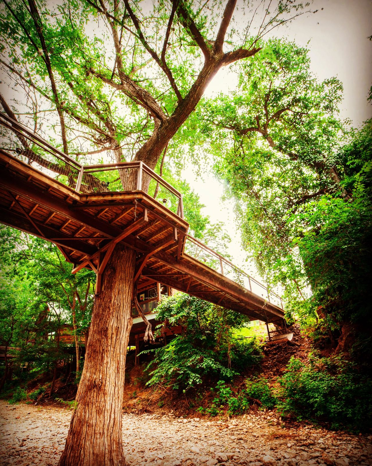 River Road Treehouses Guadalupe River Cabins