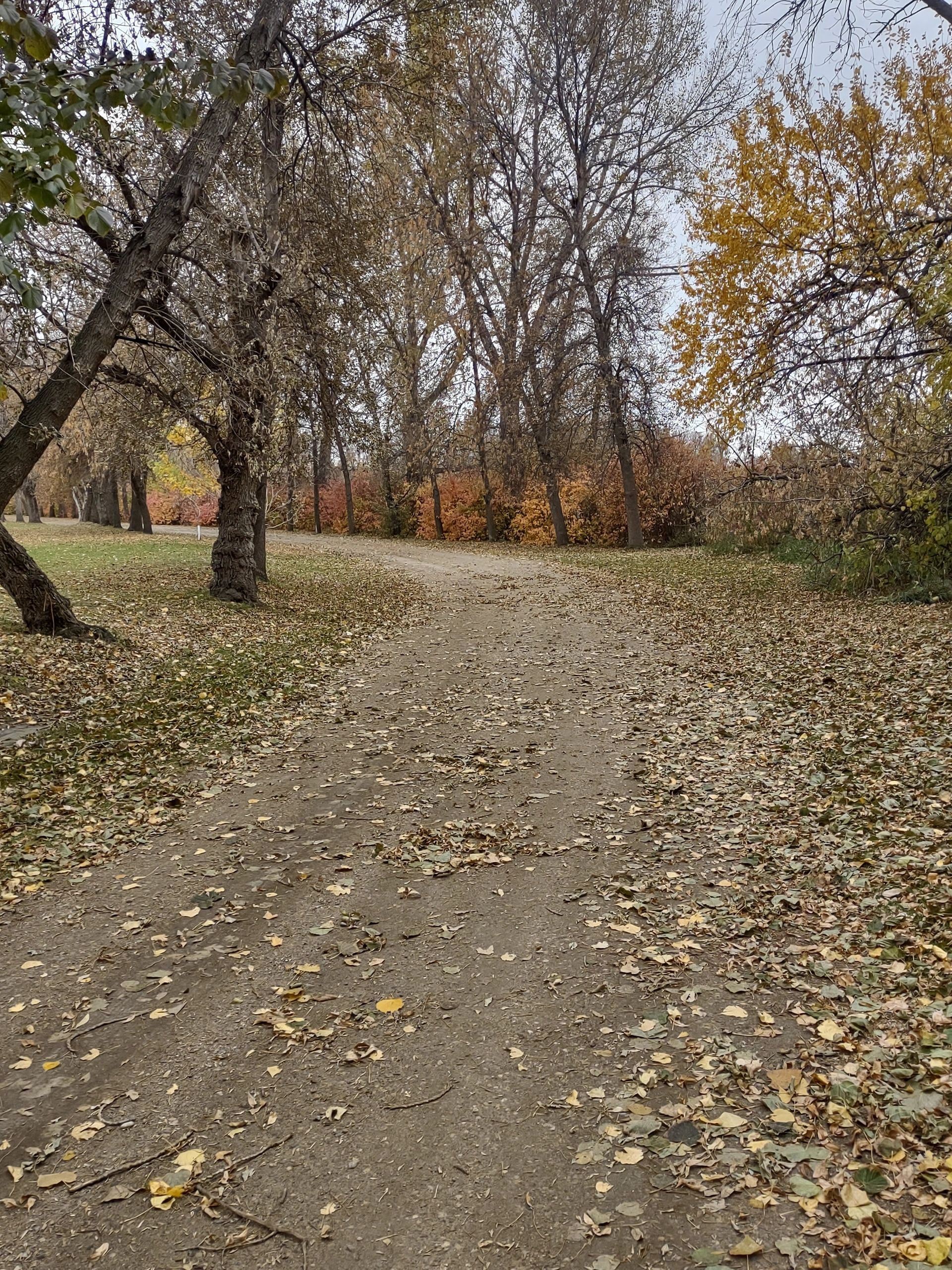 Minto City Park and Campground photo 6