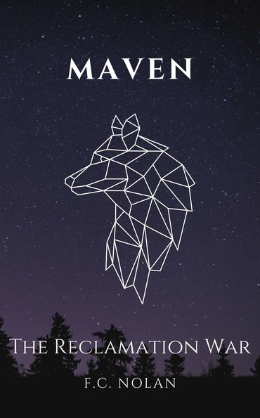 Outline of wolf constellation in a starry sky