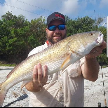 Redfish