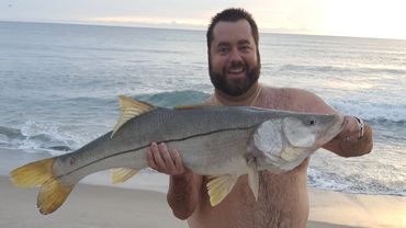 Snook