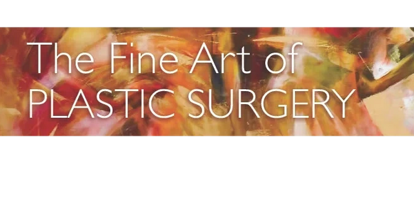 Plastic surgery is truly an art form. Fundamentally, the surgeon is first an artist.