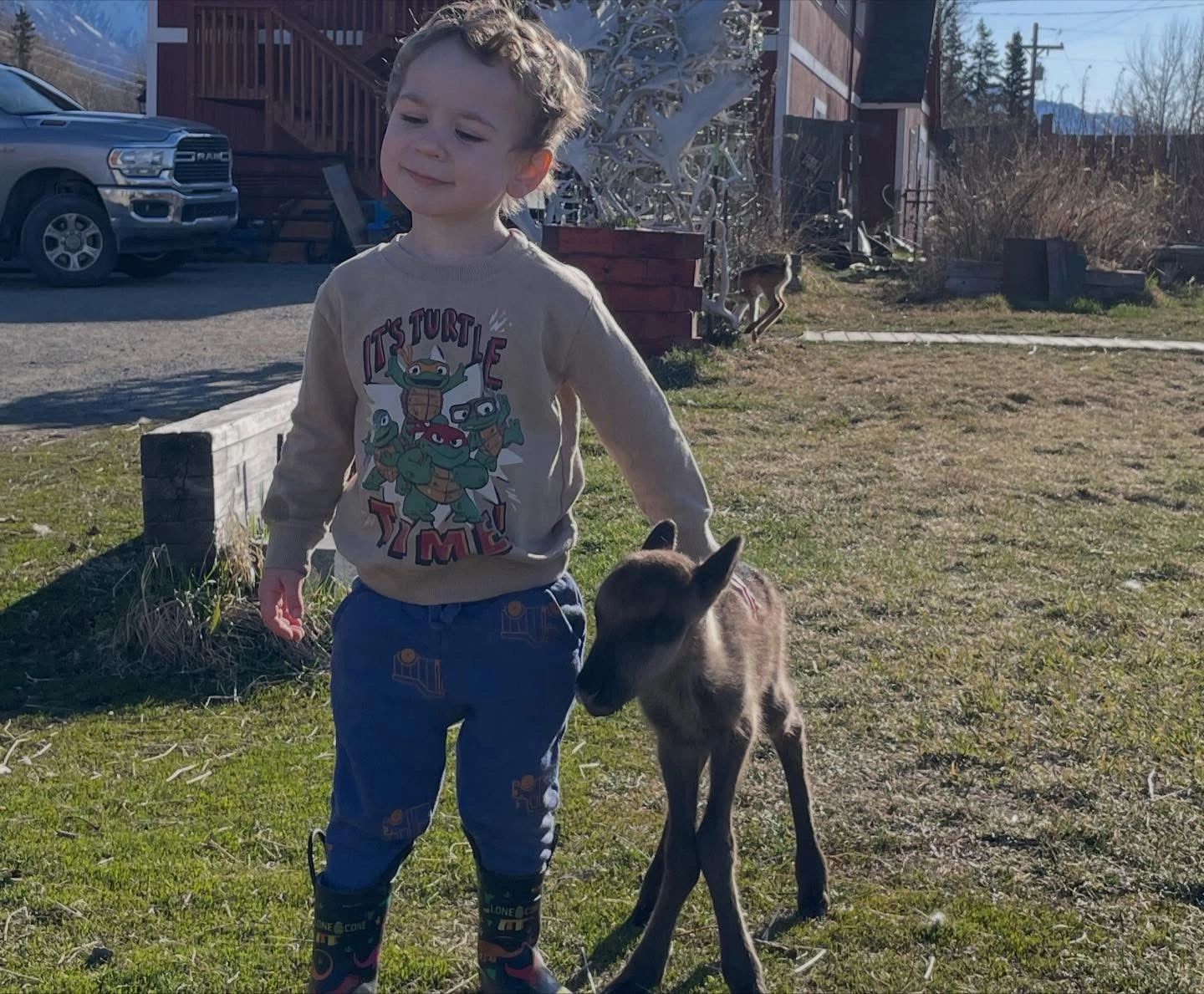 Child meeting a young reindeer at Reindeer Farm Alaska