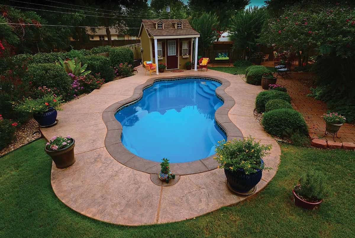 A backyard with a kidney-shaped pool surrounded by plants and a small shed.