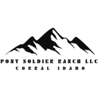 Pony Soldier Ranch