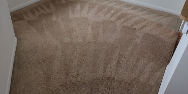 Carpet with clean vacuum patterns in an empty room corner.