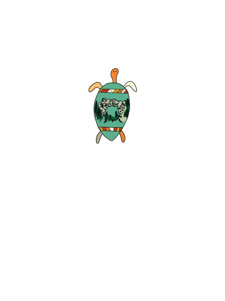 Arch rock turtle