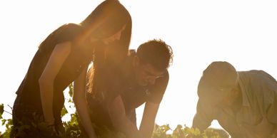 Trois personnes travaillent ensemble au champ au coucher du soleil.