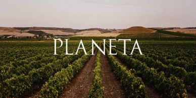 Vignes dans un paysage rural avec le texte Planeta.