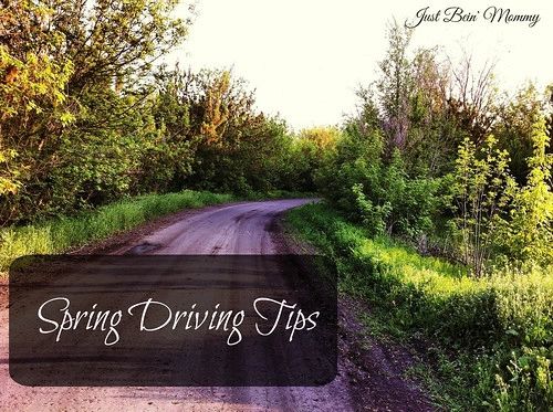 7 Spring Driving Safety Tips