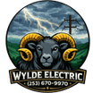 Wylde Electric LLC