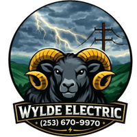Wylde Electric LLC