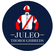 Juleo Thoroughbreds