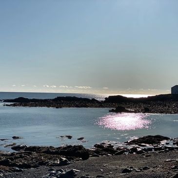 A view of a rocky beach