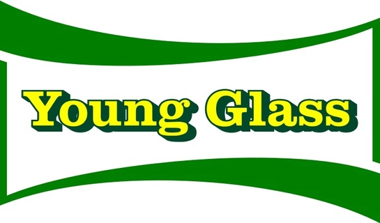 Young Auto Glass