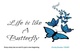 Life is like a Butterfly