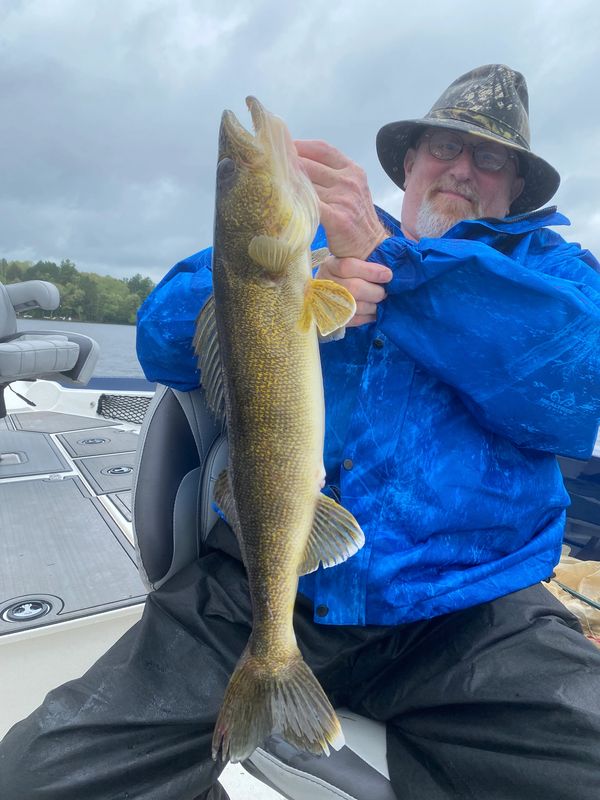 Eagle River Wisconsin, Forest county, Walleye