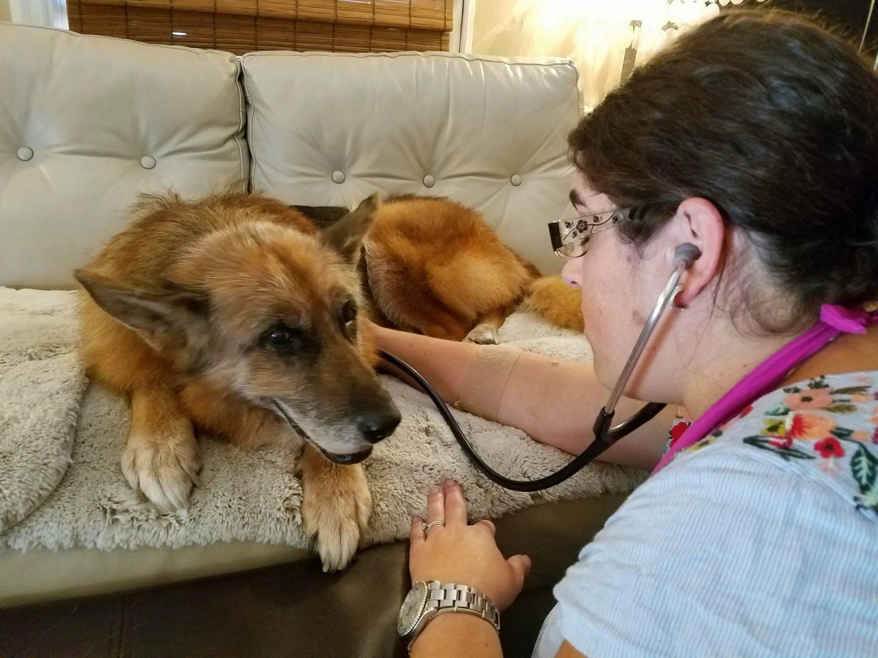 Listening to Elsa's heart and lung sounds as she is getting sleepy and starting to feel comfortable .