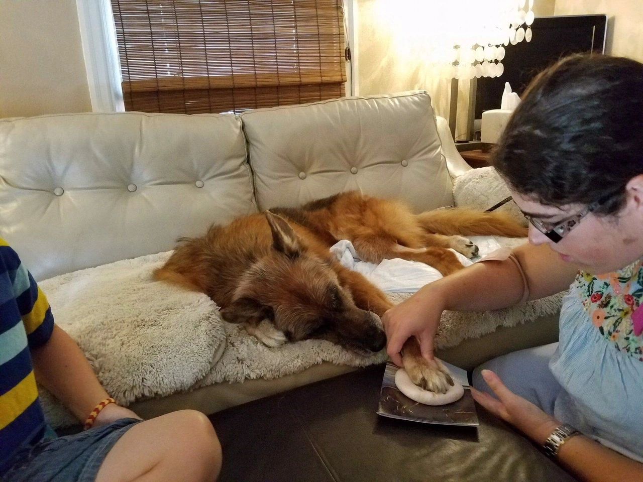 Making Elsa's clay paw print