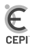 CEPI - Children's Experience & Perspective Interview