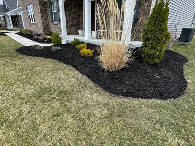 Black Mulch